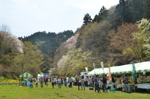 小峰公園のさくら祭り