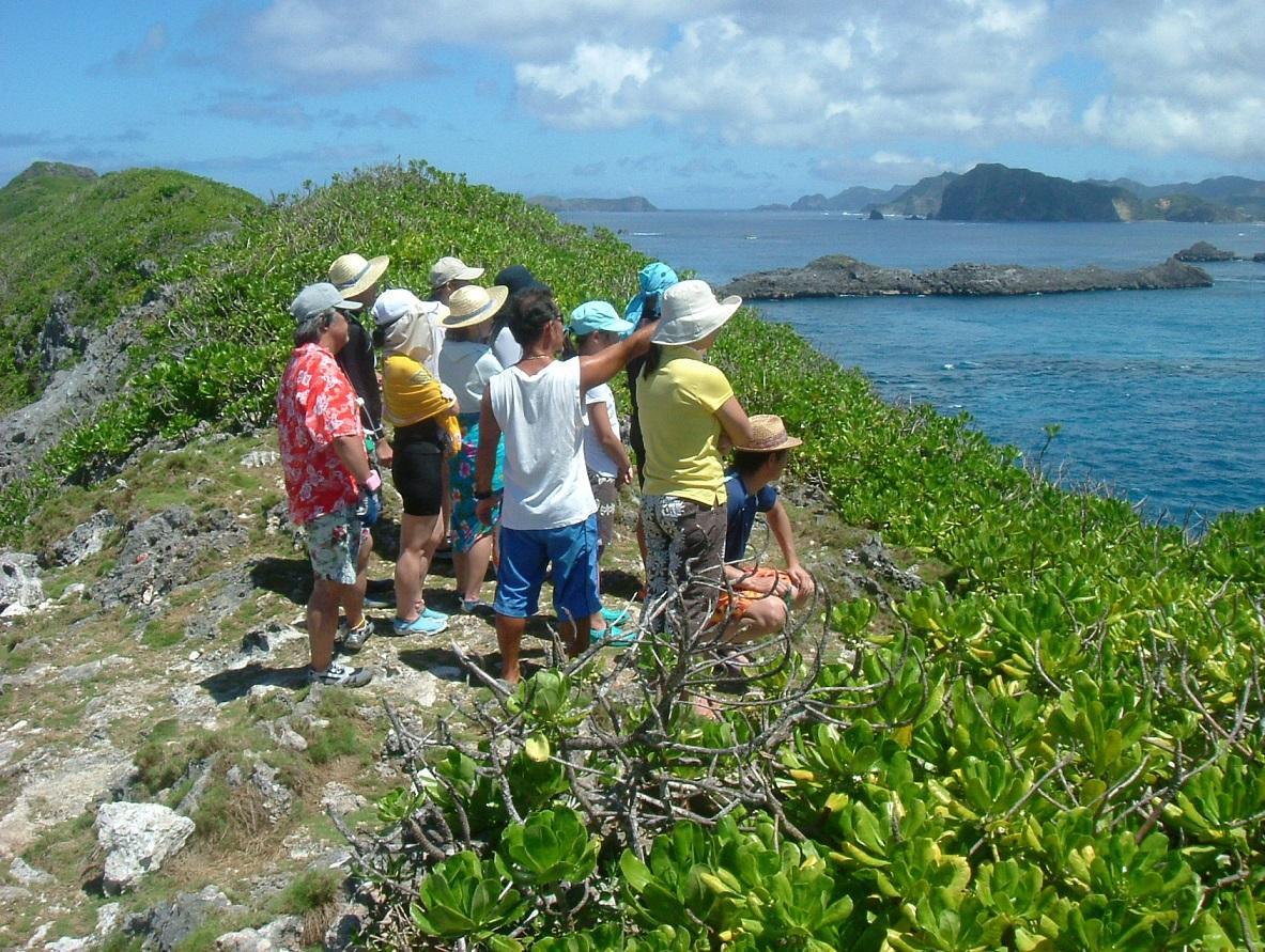 小笠原エコツーリズム