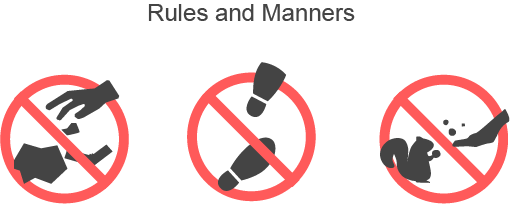 Regulation and Rules