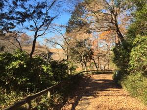 狭山公園