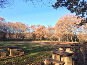 滝山自然公園