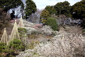 京王百草園