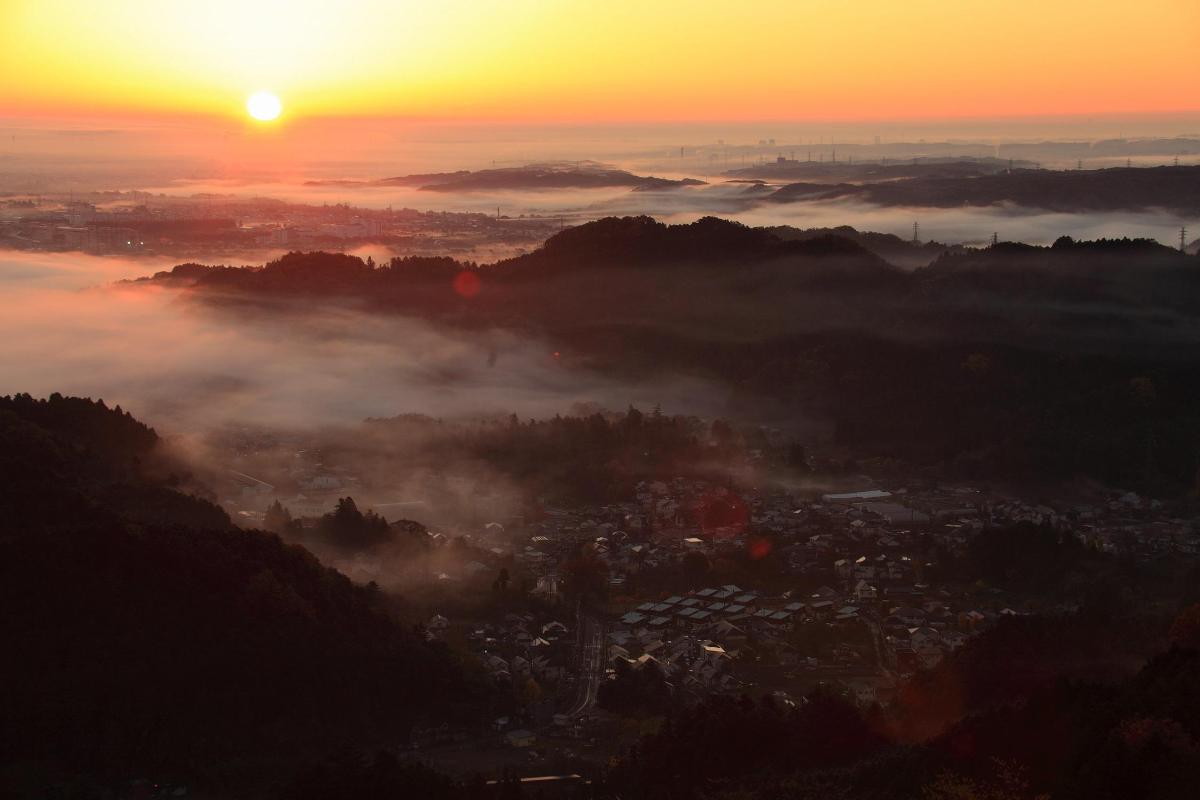 Image of Tokyo Natural Park2