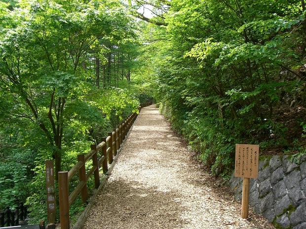 Therapy Road
