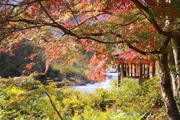 Mitake Valley