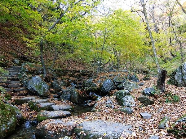 Rock Garden