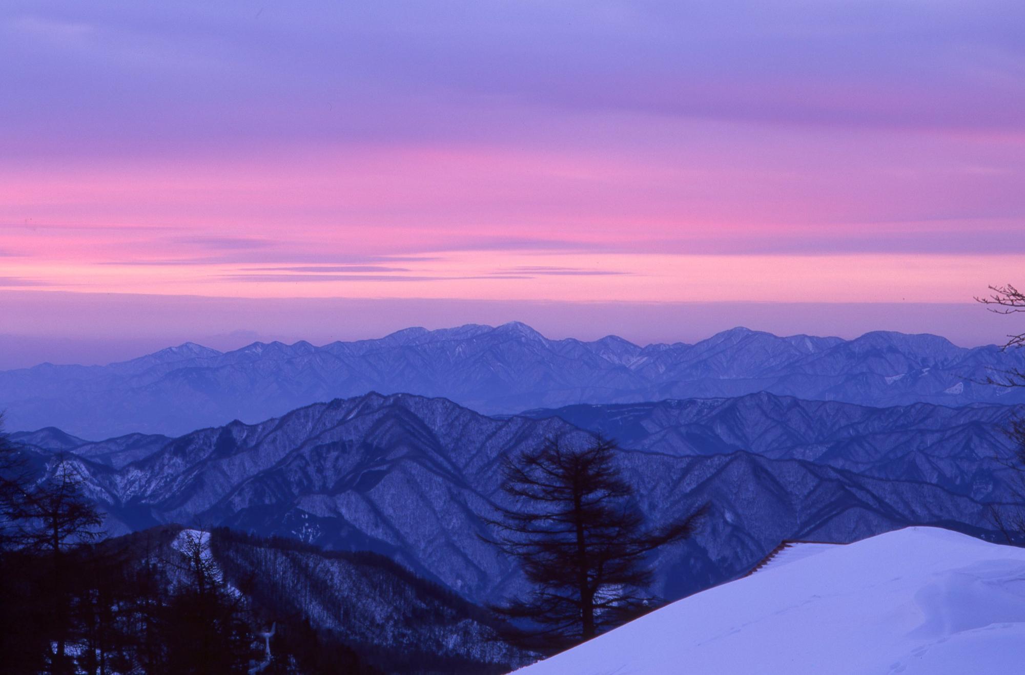 Wildlife of Okutama branding