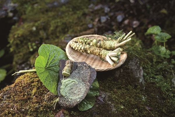 Okutama wasabi