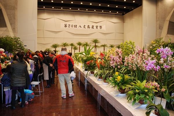 Industry Festival