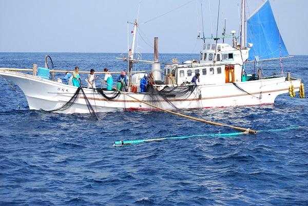 Fishing Industry