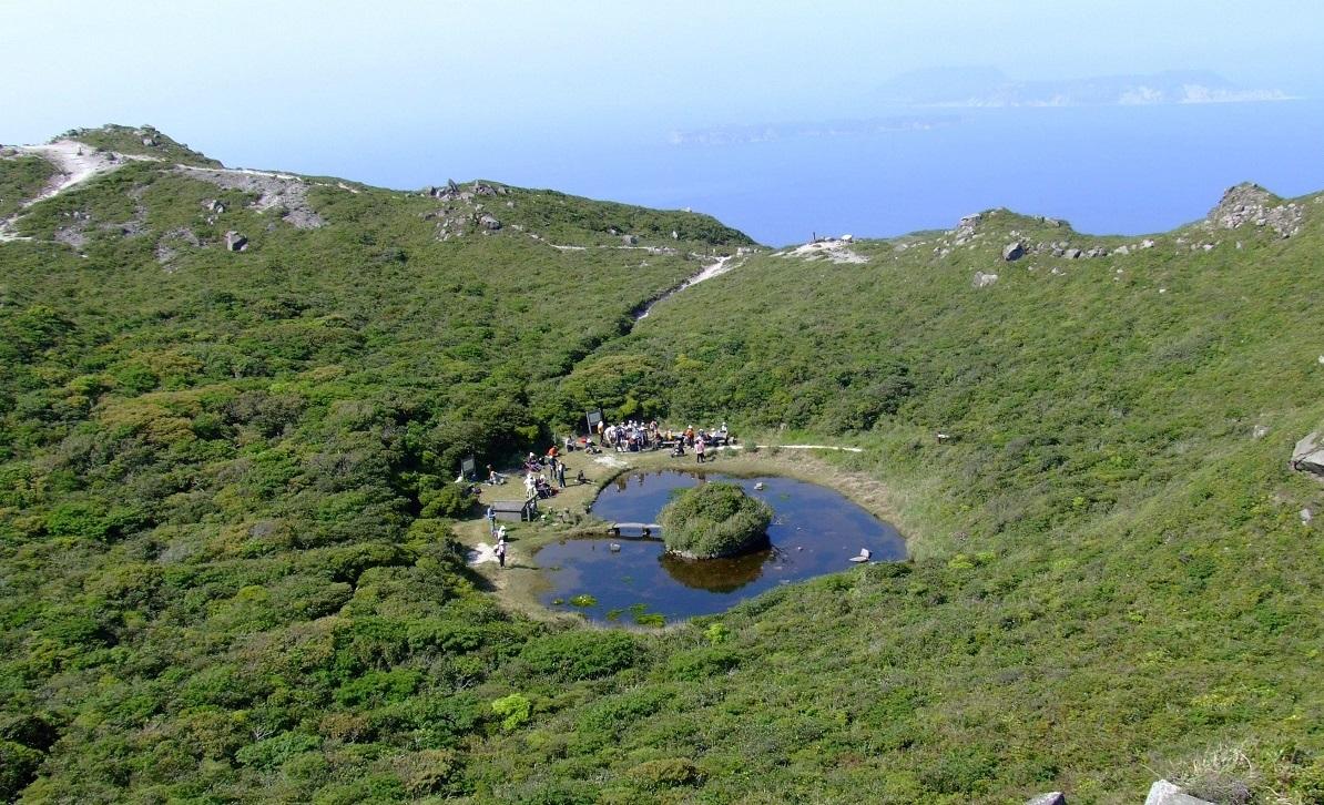 Wildlife of Kozushima Island branding