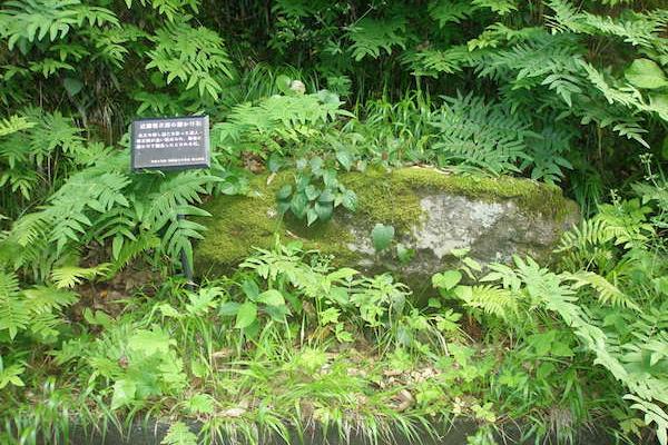 Island’s History