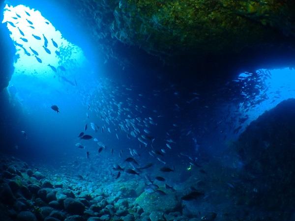 Diving