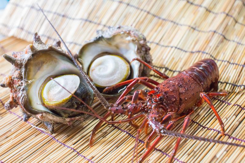 The Japanese spiny lobster