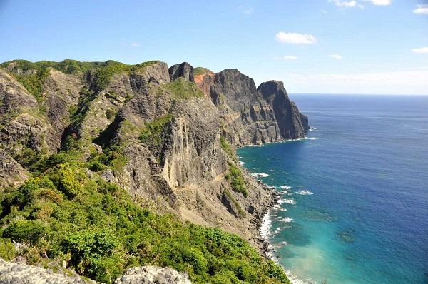 Coastal vegetation