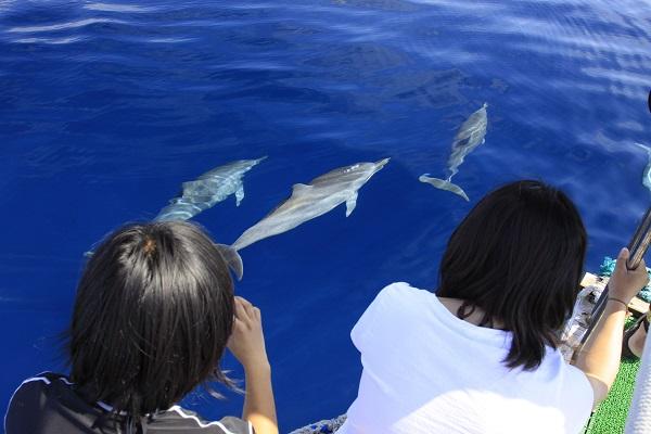 Ecotourism