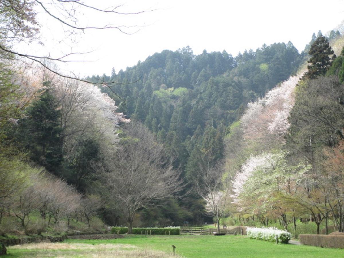 Sightseeing in Metropolitan Akikawa Hills Natural Park branding