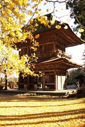 Kotokuji Temple