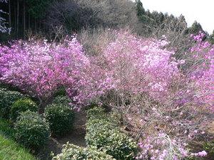 Ajiro-Benten Park