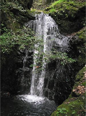 Kongonotaki Falls