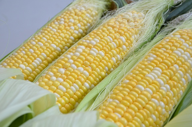 Akigawa corn