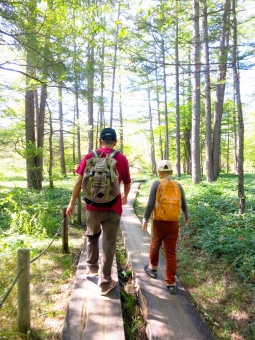 Hiking