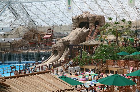 Tokyo Summerland