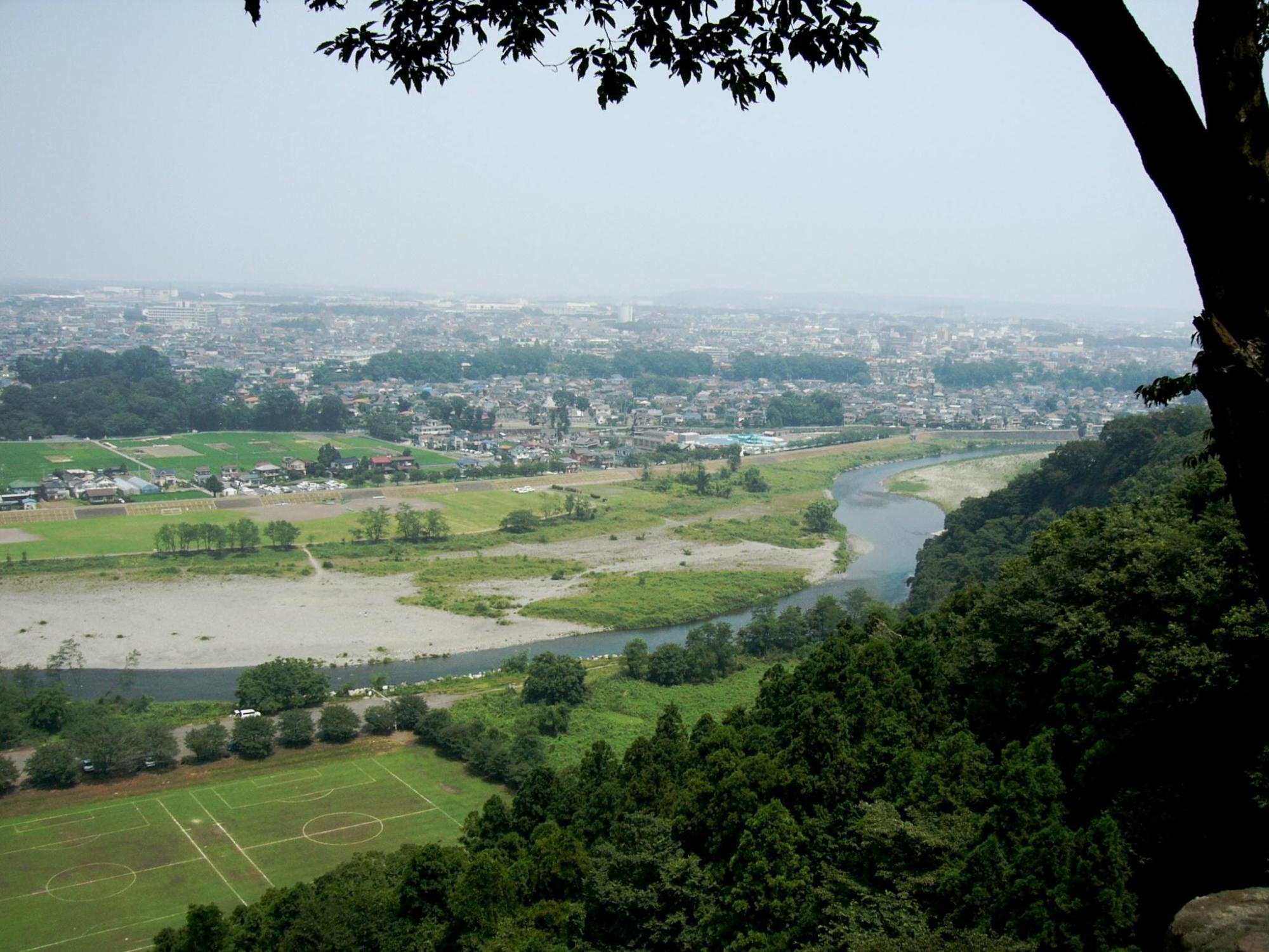 Wildlife of Metropolitan Hamura Kusabana Hills Natural Park branding