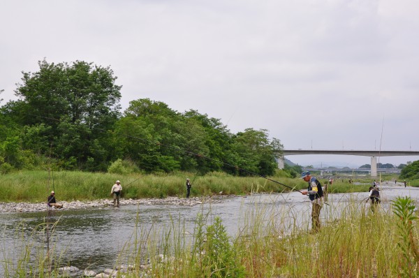 Ayu fishing