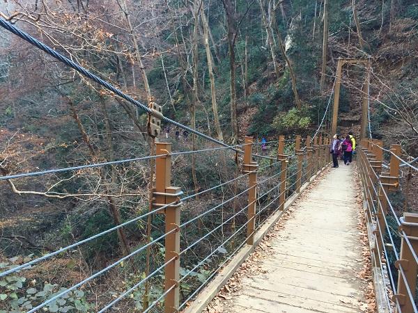Suspension bridge on Trail 4