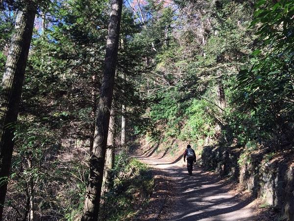 Hiking