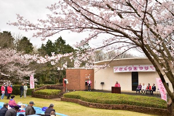 Cherry Blossom Festival