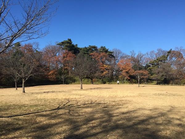 Taiyo Hiroba (Sun Plaza) at Sayama Park