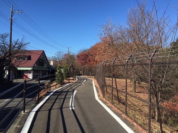Lake Tama Bicycle Path