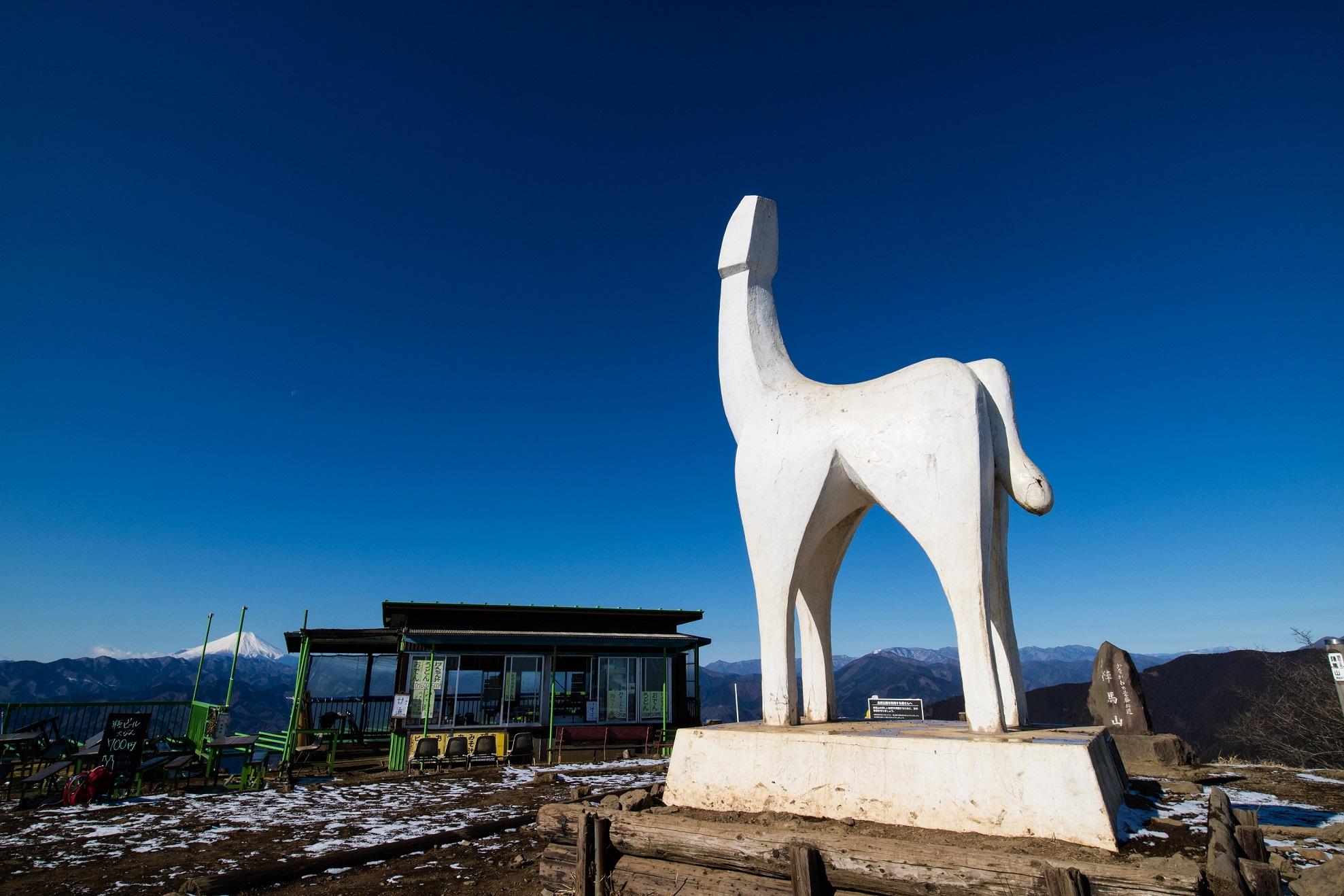 Wildlife of Metropolitan Takao-Jimba Natural Park branding