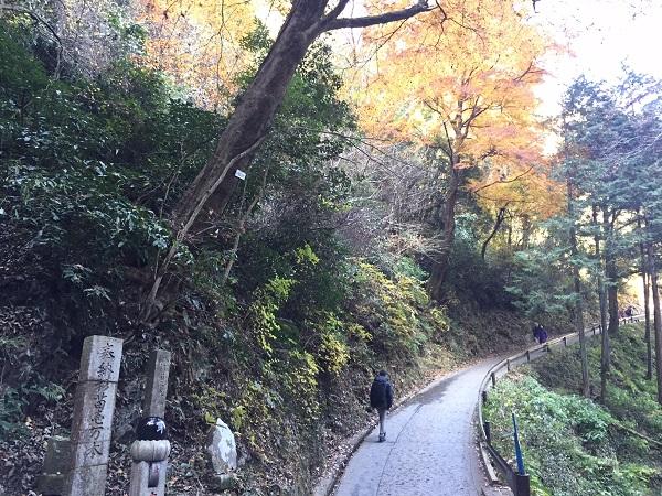 Mt. Takao nature research route