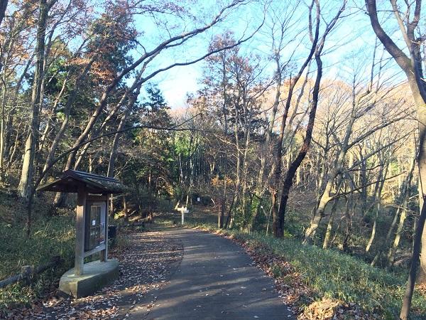 Takiyama Park 2