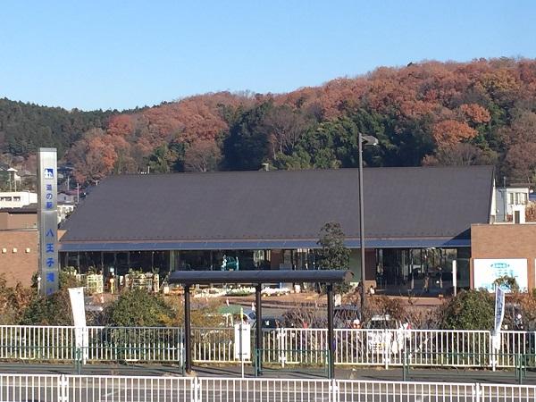 Michinoeki Hachijouji Takiyama