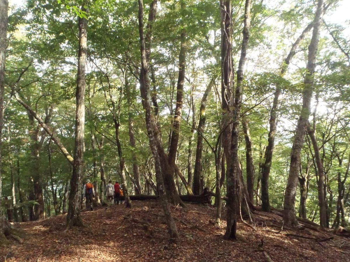 Wildlife of Metropolitan Tama Hills Natural Park branding