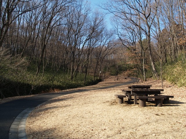 The Tama Hills in autumn