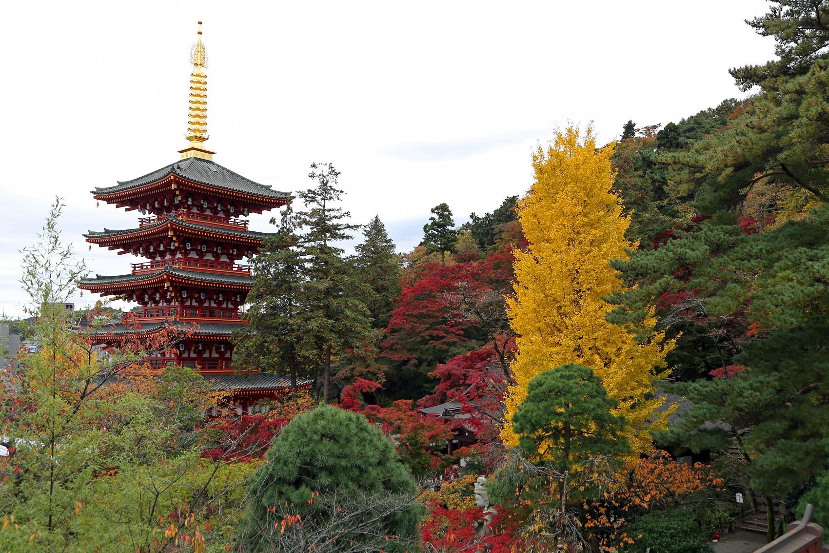 The autumn foliage at Takahata Fudoson Temple