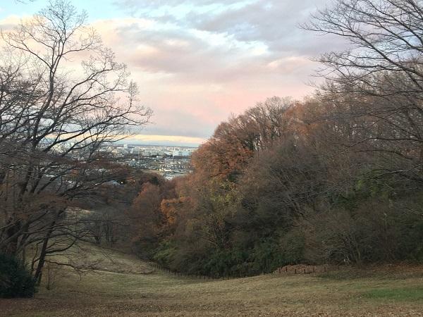 Naganuma Park(A view from Yaen Pass)