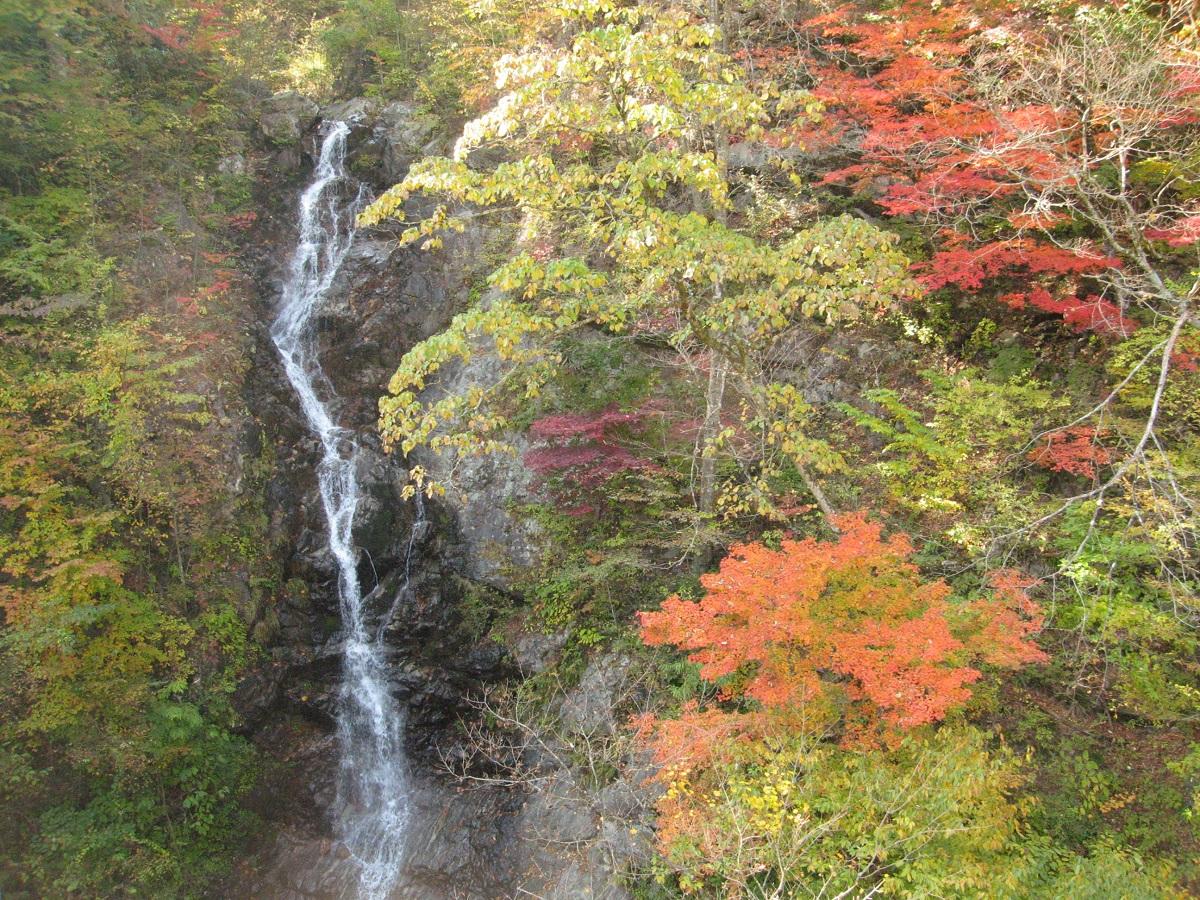檜原・あきる野のブランディング