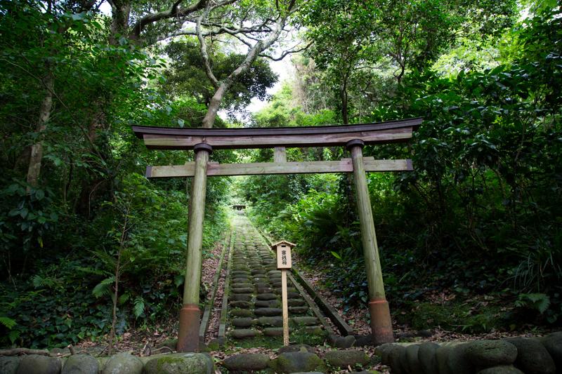 山廻り