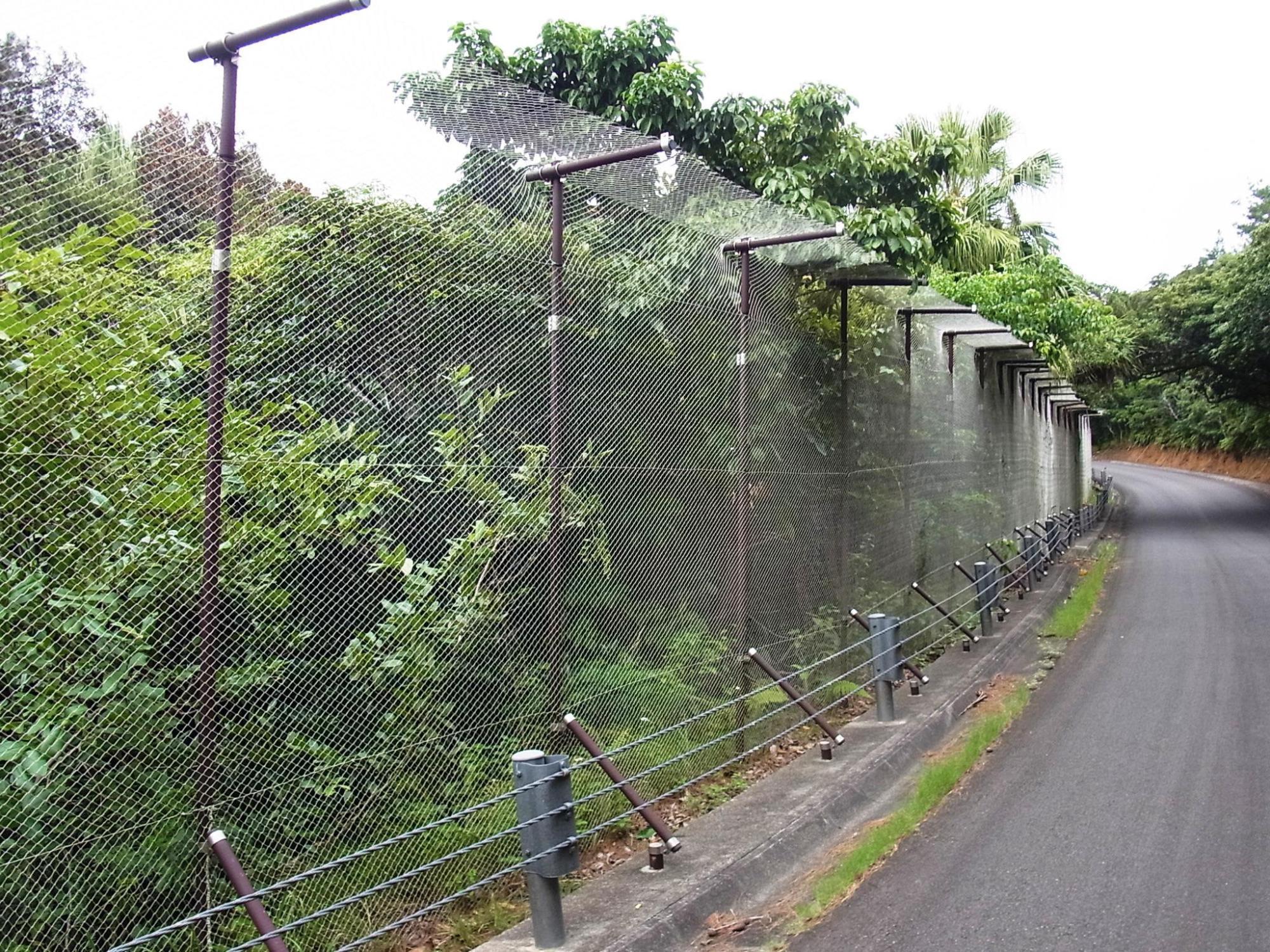 東平サンクチュアリの柵