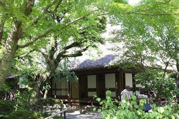 京王百草園 春の百草園まつり