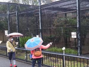 上野動物園飼育ゲージ